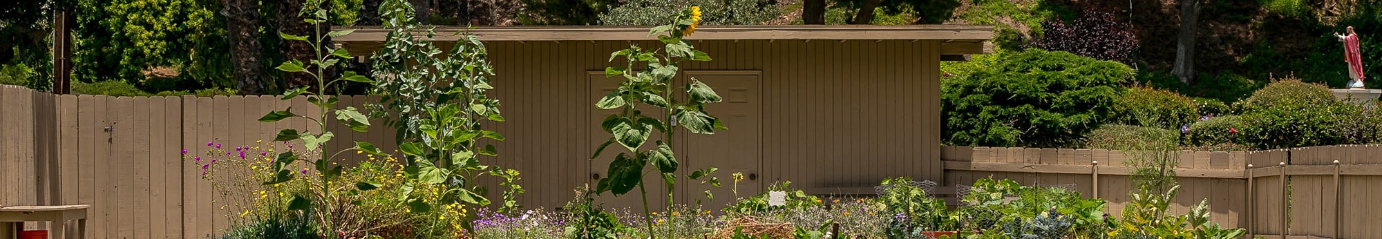 garden in front a of shed at Nazareth School